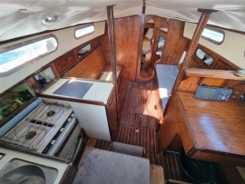 1984, Dolphin, Seeker 31