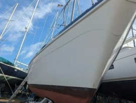 1982, Morgan, 41