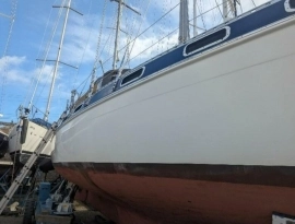 1982, Morgan, 41