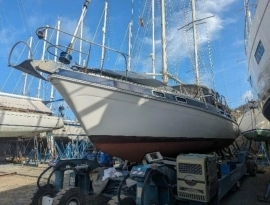 1982, Morgan, 41