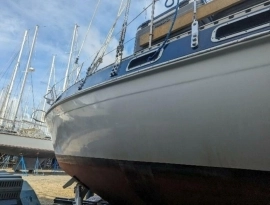1982, Morgan, 41