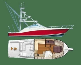2008, Cabo, 45 Express