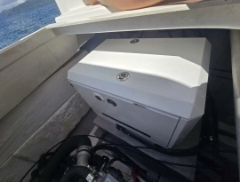 2022, Bali, Catspace