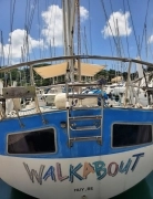 1981, Wauquiez, Amphitrite 43