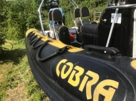 2000, Cobra Ribs, 6.5