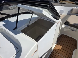 2020, Bayliner, VR6