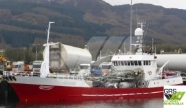 40m / Fish Carrier for Sale / #1057369