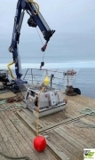 15m / 1,8ts crane Workboat for Sale / #1123545