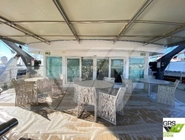 New Auction Starting Price - PLS CALL GRS / 66m / 