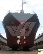100m / Multi Purpose Vessel / General Cargo Ship f
