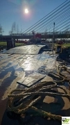 6m / 11,4m Pontoon / Barge for Sale / #1134684