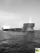 Crane Vessel, non propelled for Sale / #1079758