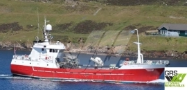 40m / Fish Carrier for Sale / #1057369