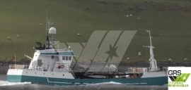 40m / Fish Carrier for Sale / #1057369