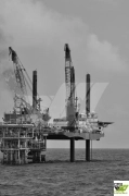 83m / DP 1 / 150 pax / 295ts Crane Jack Up for Sal