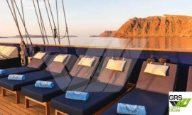 47m / 50 pax Cruise Ship for Sale / #1048634