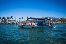 2013, Custom, Commercial Catamaran 40'