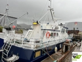 17m / 55 pax Passenger / RoRo Ship for Sale / #113