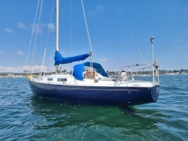 1984, Dolphin, Seeker 31
