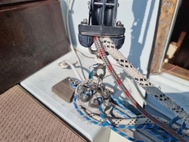 1984, Dolphin, Seeker 31