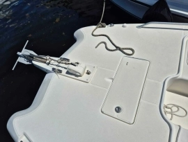 2005, World Cat, 330 TE