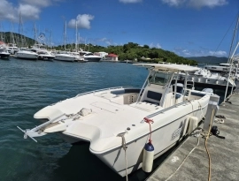 2005, World Cat, 330 TE