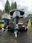 2008, Duck, Pacific Navigator 