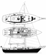 1982, C&C, Landfall