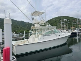 2000, Custom, 35 Express