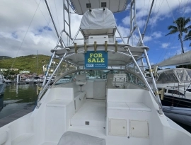 2000, Custom, 35 Express